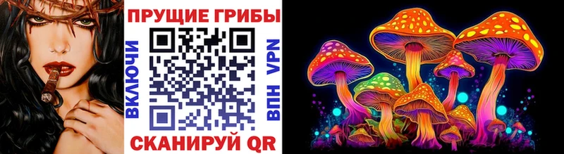 Галлюциногенные грибы Cubensis OMG Лабинск