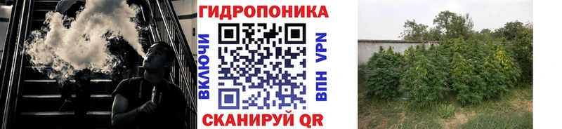 как найти закладки  Лабинск  Шишки марихуана THC 21% 